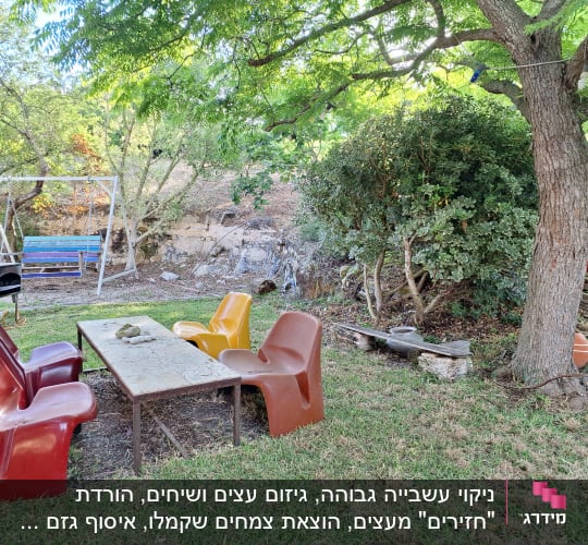 כלי גינון ליד עץ, צינור השקיה על הקרקע